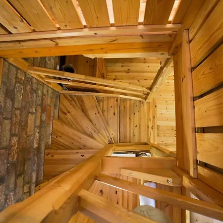 Apartament Borhaz *